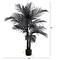 4ft. Artificial Halloween Black Golden Cane Tree
